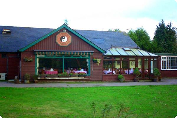 The Golden Willow